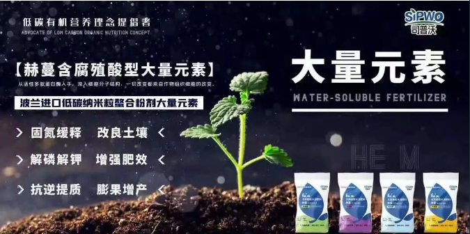 如何選擇葉面肥？葉面肥的施用形式你了解嗎？
