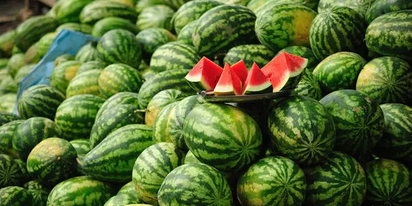 西瓜裂果怎么辦？除了水的管理還要補(bǔ)充這個!