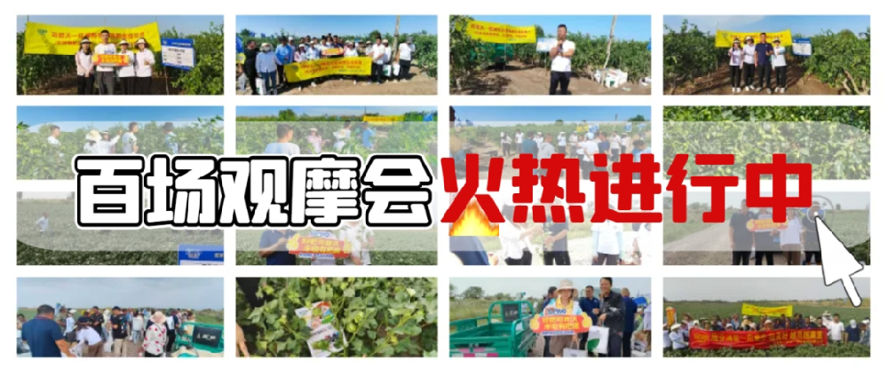 司普沃盛啟百場(chǎng)觀摩會(huì)，**檢驗(yàn)產(chǎn)品熱潮正當(dāng)時(shí)