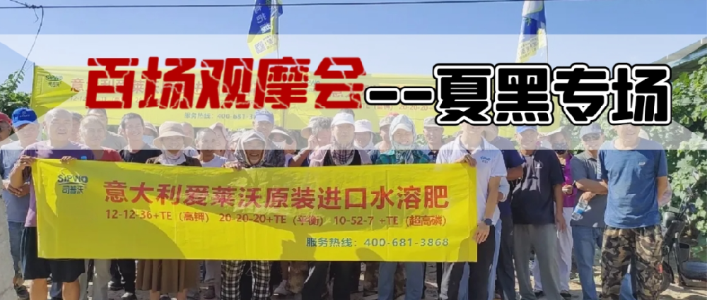 新疆博樂(lè)地區(qū)夏黑葡萄觀摩會(huì)圓滿成功，司普沃功能肥閃耀全場(chǎng)